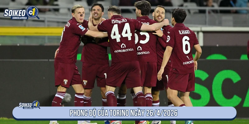Phong độ của Torino ngày 26/4/2026