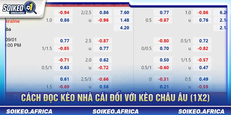 Cách Đọc Kèo Nhà Cái Dễ Hiểu Cho Người Mới Cách đọc kèo nhà cái châu Âu