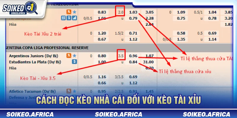 Cách Đọc Kèo Nhà Cái Dễ Hiểu Cho Người Mới Cách đọc kèo nhà cái tài xỉu