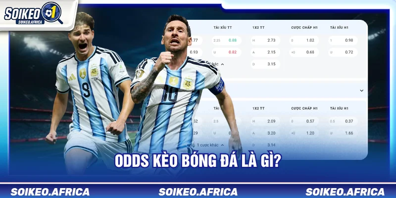 Odds Kèo Bóng Đá Là Gì? Cách Hiểu Biến Động Tỷ Lệ odds kèo bóng đá là gì